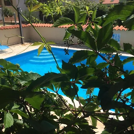 Appartement Mit Ueberdachter Terrasse Mit Meerblick